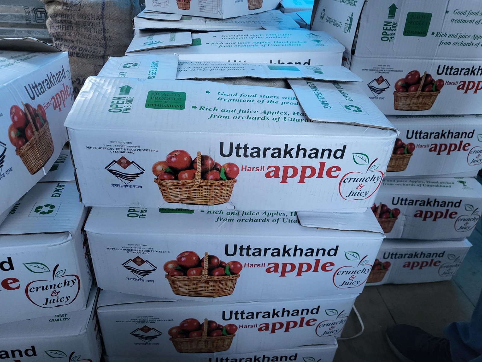 Hand-picked Quality